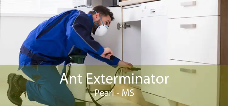 Ant Exterminator Pearl - MS