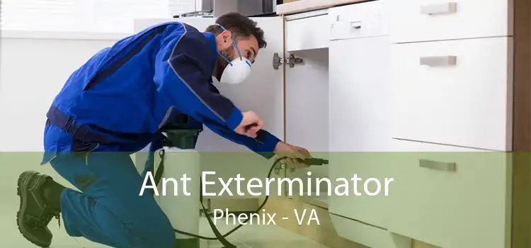 Ant Exterminator Phenix - VA
