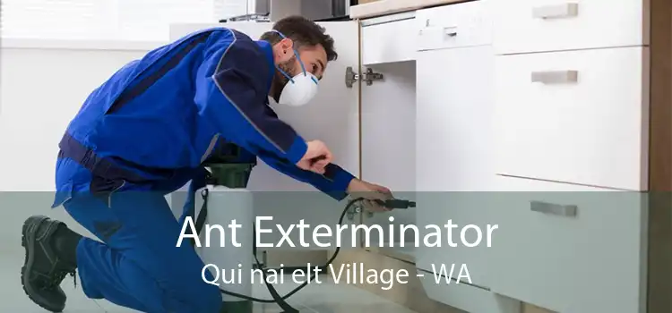 Ant Exterminator Qui nai elt Village - WA