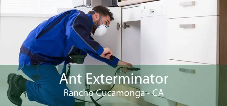 Ant Exterminator Rancho Cucamonga - CA