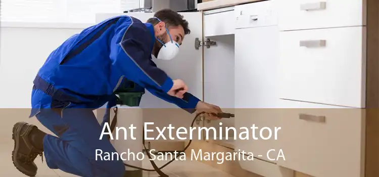 Ant Exterminator Rancho Santa Margarita - CA