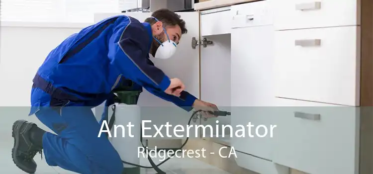 Ant Exterminator Ridgecrest - CA