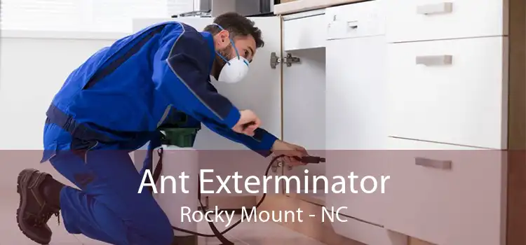 Ant Exterminator Rocky Mount - NC