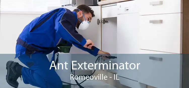 Ant Exterminator Romeoville - IL