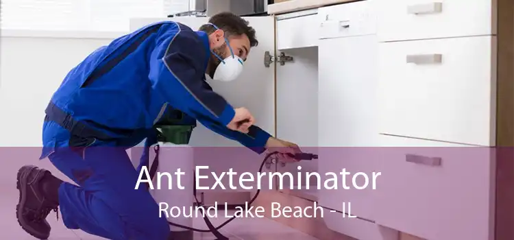 Ant Exterminator Round Lake Beach - IL