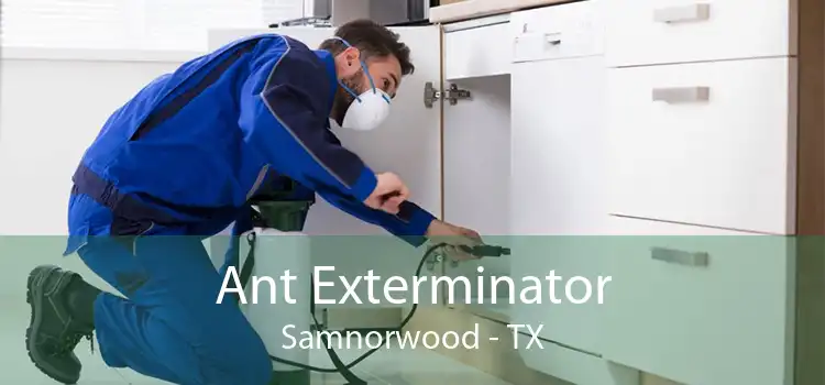 Ant Exterminator Samnorwood - TX