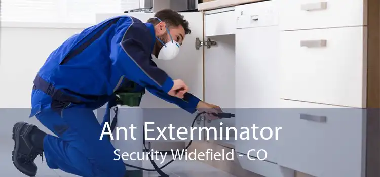 Ant Exterminator Security Widefield - CO