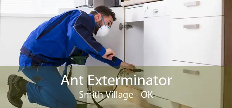 Ant Exterminator Smith Village - OK
