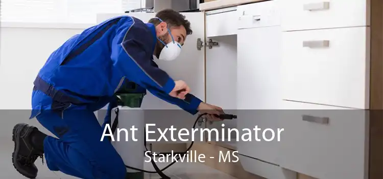 Ant Exterminator Starkville - MS