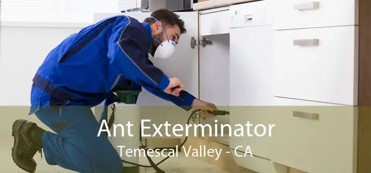 Ant Exterminator Temescal Valley - CA