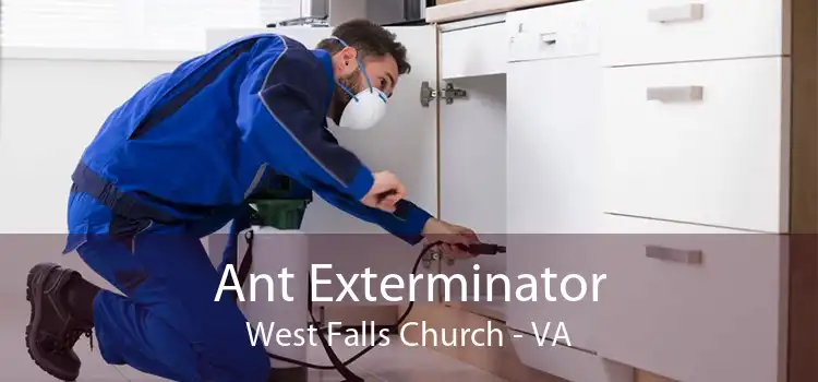 Ant Exterminator West Falls Church - VA