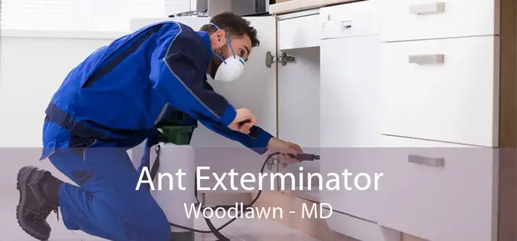 Ant Exterminator Woodlawn - MD