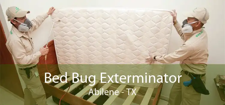 Bed Bug Exterminator Abilene - TX