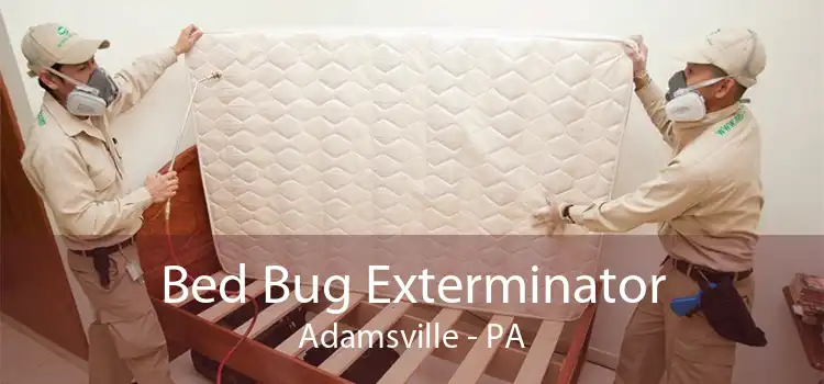 Bed Bug Exterminator Adamsville - PA
