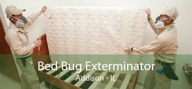 Bed Bug Exterminator Addison - IL