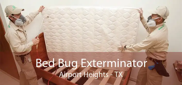 Bed Bug Exterminator Airport Heights - TX