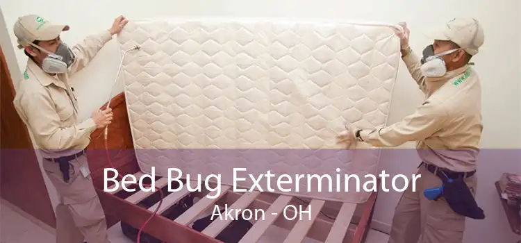 Bed Bug Exterminator Akron - OH