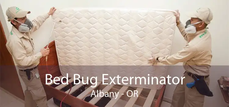 Bed Bug Exterminator Albany - OR