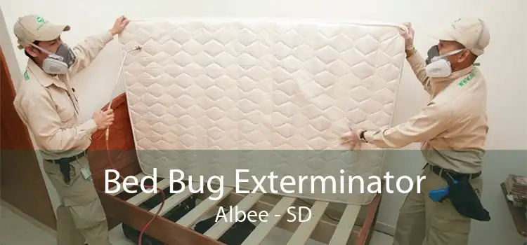 Bed Bug Exterminator Albee - SD