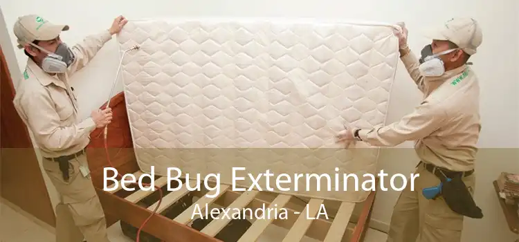 Bed Bug Exterminator Alexandria - LA