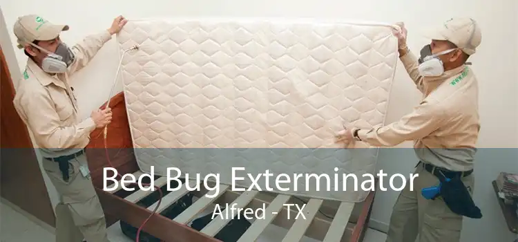 Bed Bug Exterminator Alfred - TX