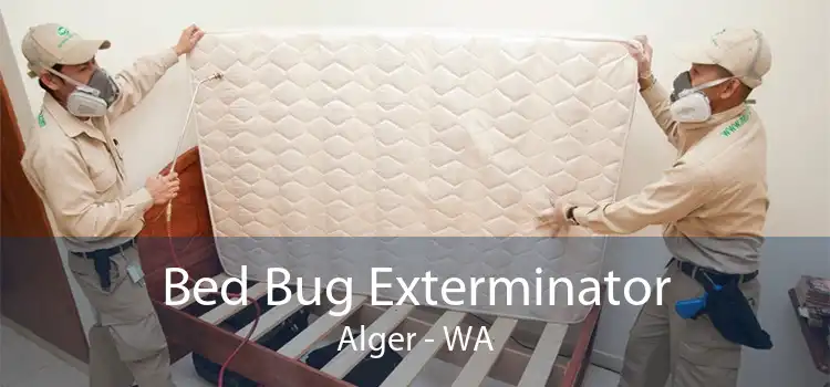 Bed Bug Exterminator Alger - WA