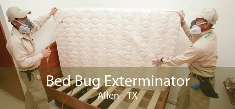 Bed Bug Exterminator Allen - TX