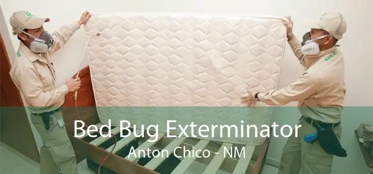 Bed Bug Exterminator Anton Chico - NM