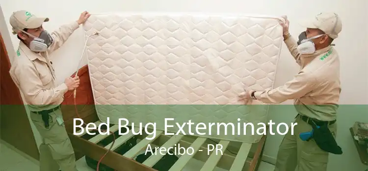 Bed Bug Exterminator Arecibo - PR