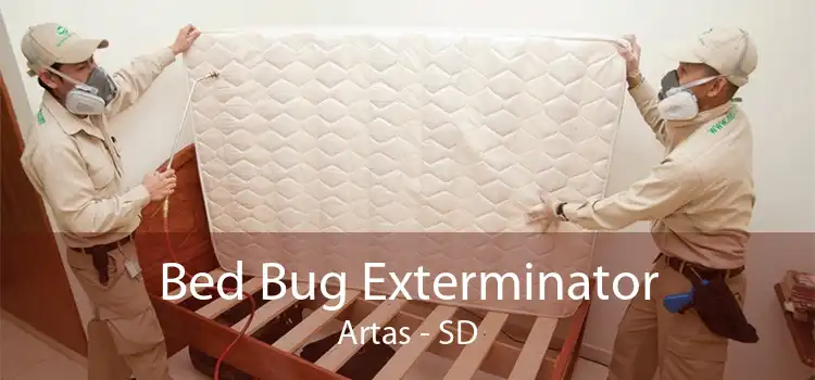 Bed Bug Exterminator Artas - SD