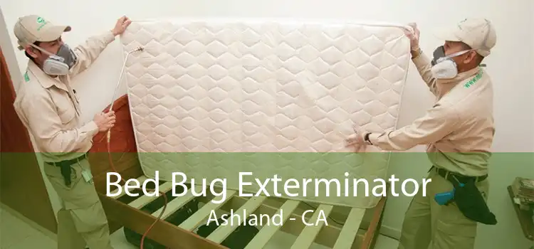 Bed Bug Exterminator Ashland - CA