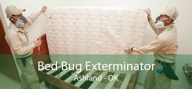 Bed Bug Exterminator Ashland - OK