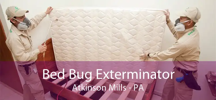 Bed Bug Exterminator Atkinson Mills - PA