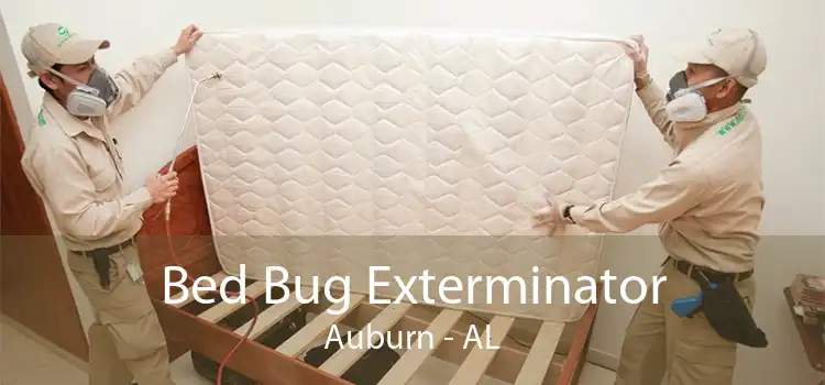 Bed Bug Exterminator Auburn - AL