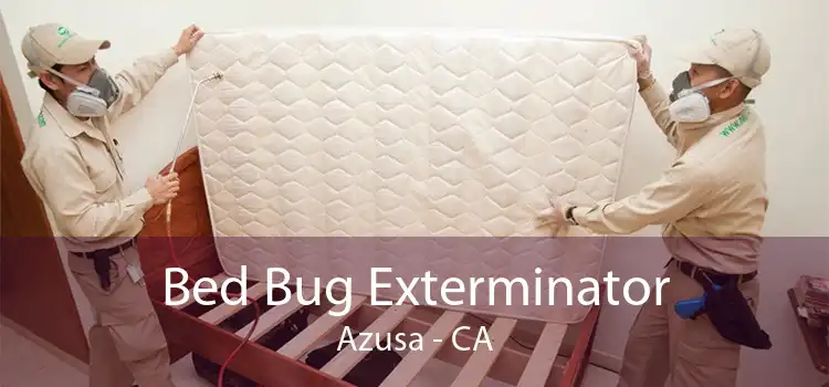 Bed Bug Exterminator Azusa - CA