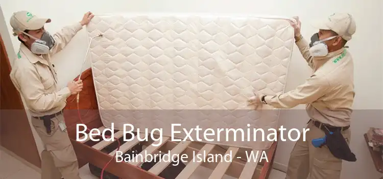 Bed Bug Exterminator Bainbridge Island - WA