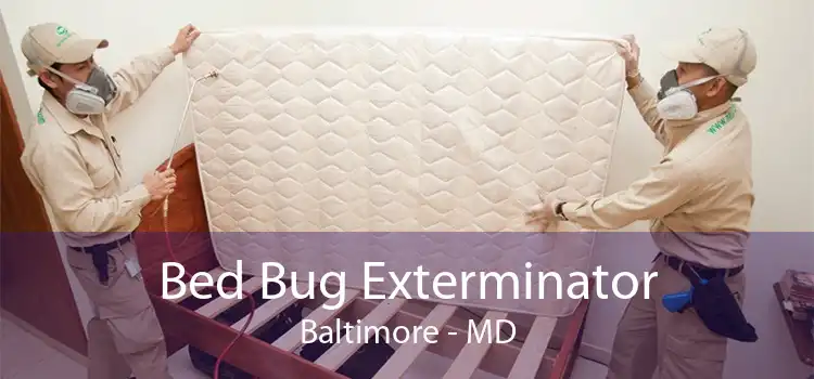 Bed Bug Exterminator Baltimore - MD