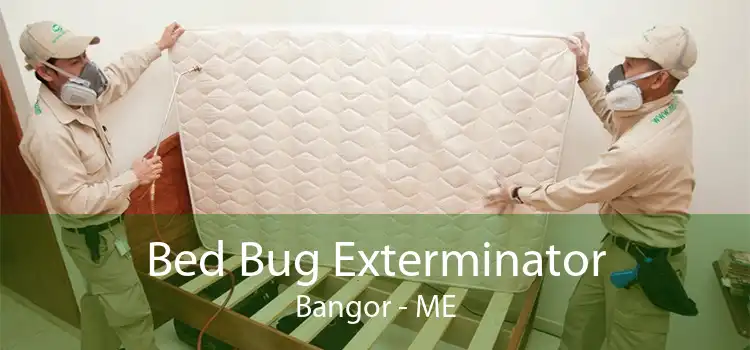 Bed Bug Exterminator Bangor - ME