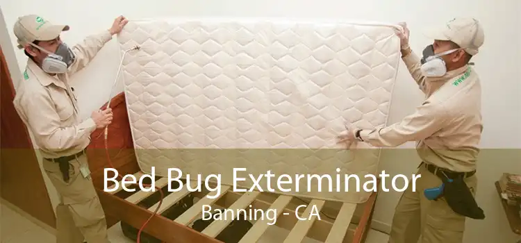 Bed Bug Exterminator Banning - CA
