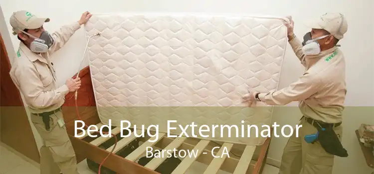 Bed Bug Exterminator Barstow - CA