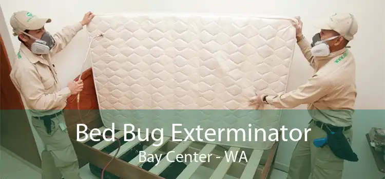 Bed Bug Exterminator Bay Center - WA