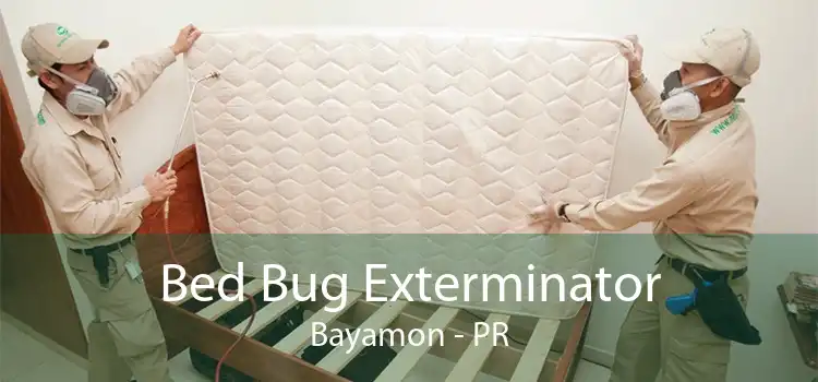 Bed Bug Exterminator Bayamon - PR