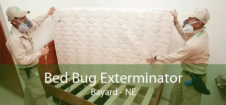 Bed Bug Exterminator Bayard - NE