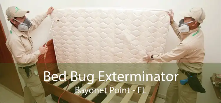 Bed Bug Exterminator Bayonet Point - FL