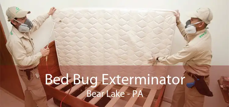 Bed Bug Exterminator Bear Lake - PA