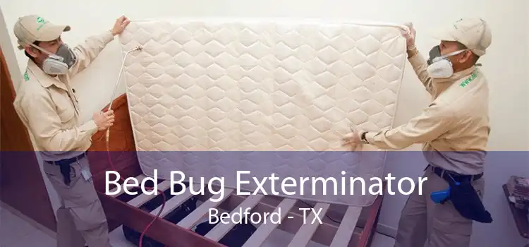 Bed Bug Exterminator Bedford - TX
