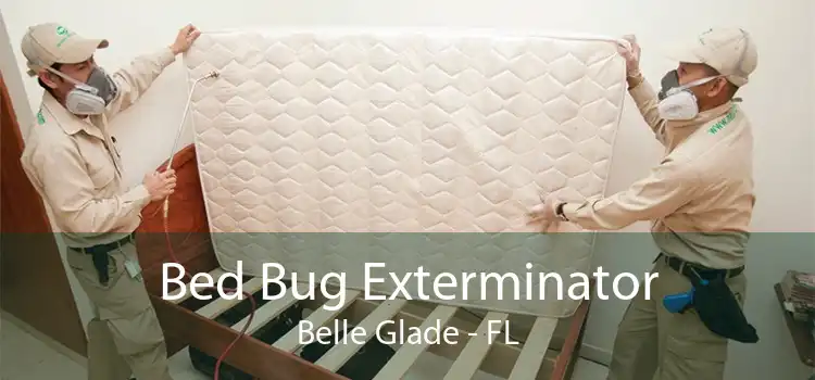 Bed Bug Exterminator Belle Glade - FL