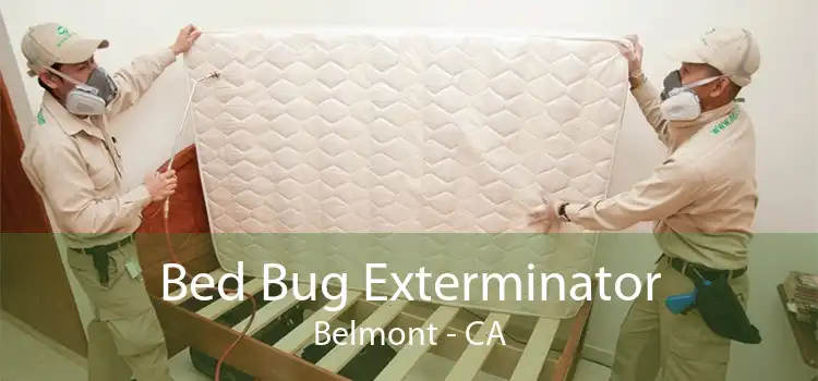Bed Bug Exterminator Belmont - CA
