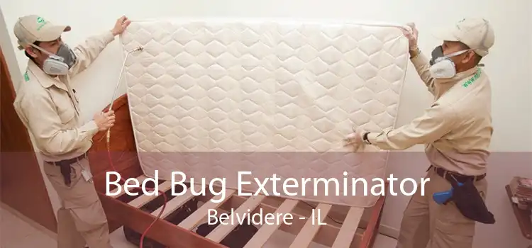 Bed Bug Exterminator Belvidere - IL