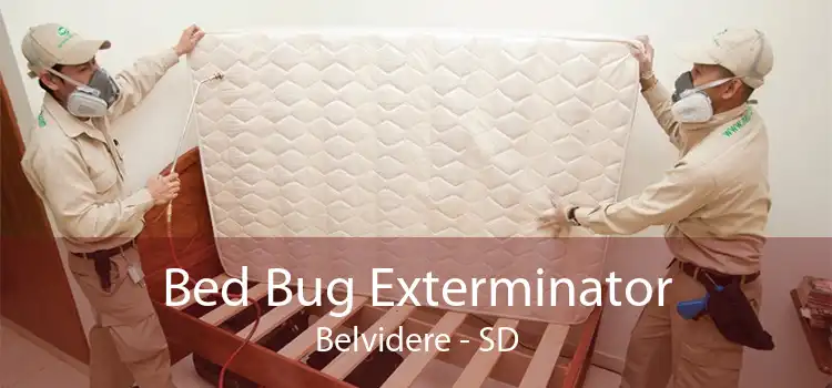 Bed Bug Exterminator Belvidere - SD